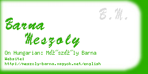 barna meszoly business card